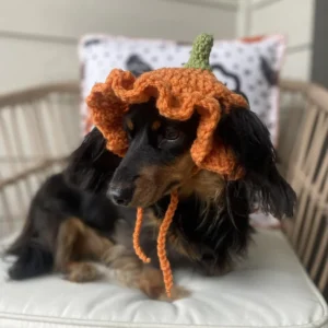 Blue Heeler Dog Hooded Blanket Crochet Pattern & videos PDF