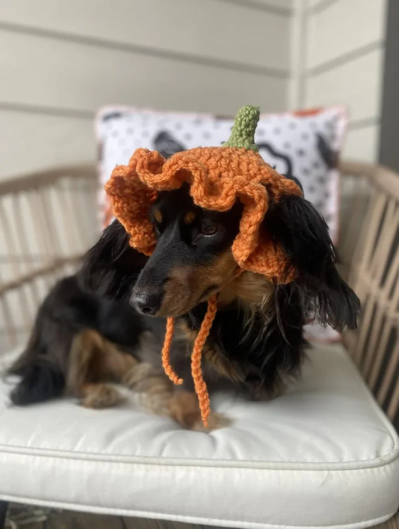 Blue Heeler Dog Hooded Blanket Crochet Pattern & videos PDF